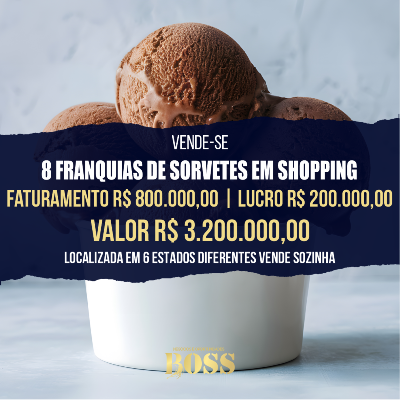 8 Franquias Famosas de Sorvetes <br>Faturamento médio mensal por loja 100.000,00 R$ 25.000,00 <br>Lucro mensal por loja R$ 25.000,00