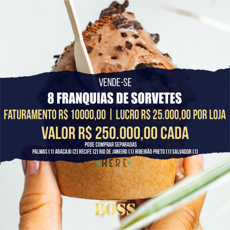 8 Franquias Famosas de Sorvetes <br>Faturamento médio mensal por loja 100.000,00 <br>Lucro mensal por loja R$ 25.000,00