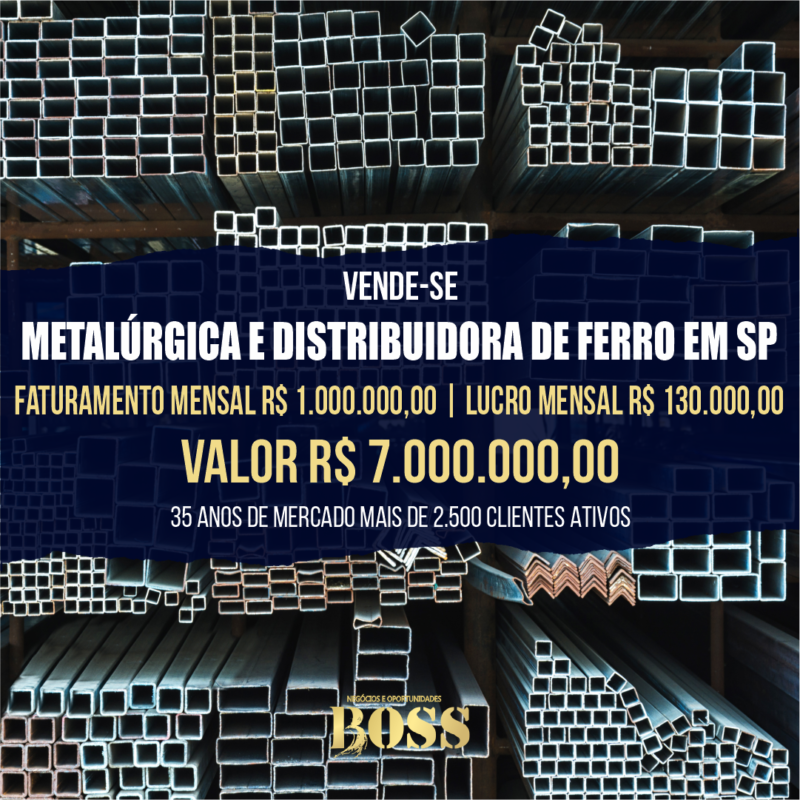 Metalúgica e Distribuidora de Ferro SP <br>Faturamento mensal R$ 1.000.000,00 <br>Lucro mensal R$ 130.000,00